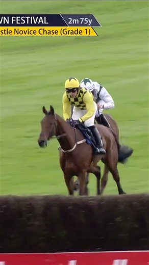 Drama at Punchestown 👀