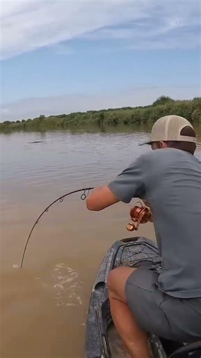 00049 MONSTER 😳 Magic BOW 22 💪 BAGRUS 5000 #predator #monster #catfishing #vagnerfishing #catfish