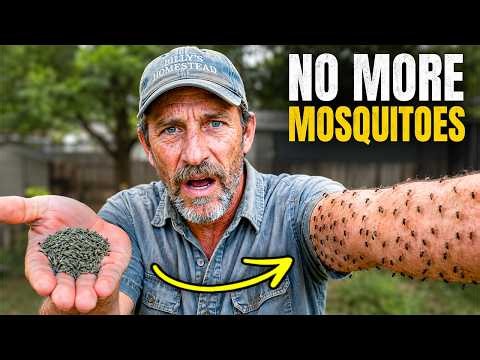 Do THIS and You'll Never See Mosquitoes Again (Pest Control Hates It!)
