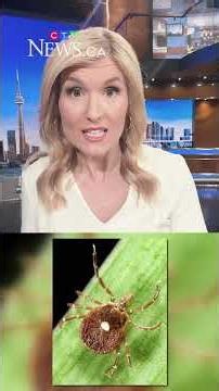 Tick reports are surging in Canada