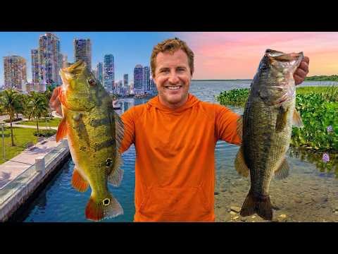 5 Days Hunting Florida's Wildest Fish (Invasive vs. Native)