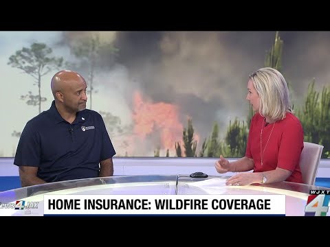 What are your options after a wildfire & how can you protect your property beforehand?