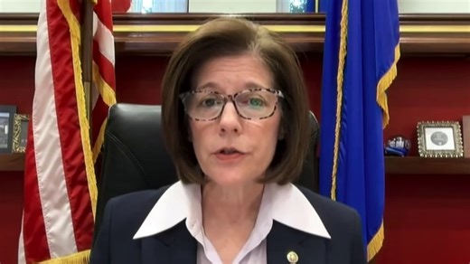 Senate Democrat says moderate candidates in swing states ‘the only way’ to regain the majority