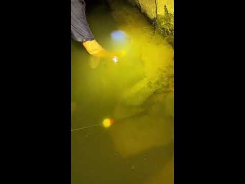 ✨Saltwater fishing, river catching & more2026-05-07
