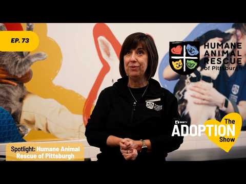 Care They Need, Love They Deserve | Humane Animal Rescue of Pittsburgh | The Adoption Show
