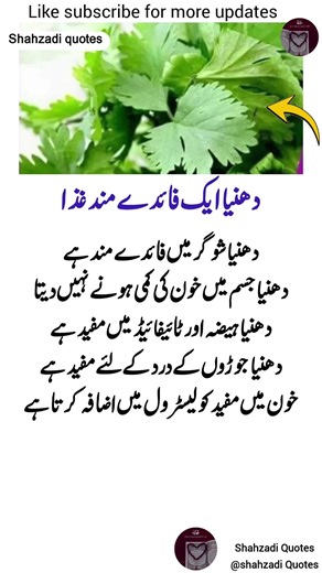 Life Changing Quotes That Will Completely Transform Your Mindset And Lead You To Success Forever 🔥