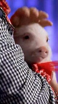 The Ladies LOVE These Performing Pigs! 🐷♥️ #pigs #agt