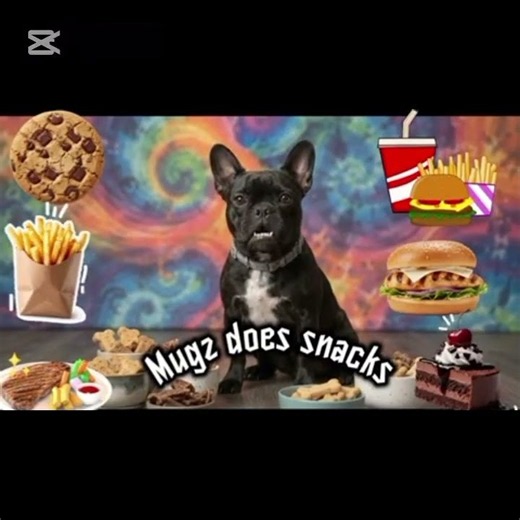 mugz does snacks slowed