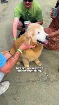 Blind Dog Fetches The Newspaper To Make His Family Proud | The Dodo