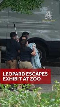 Leopard escapes enclosure at Greenville Zoo