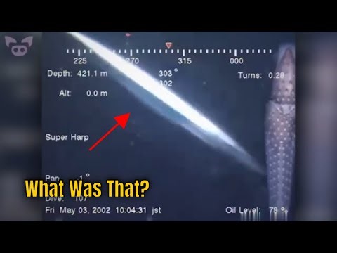 Deepsea Footage Sparks Debate 🦑