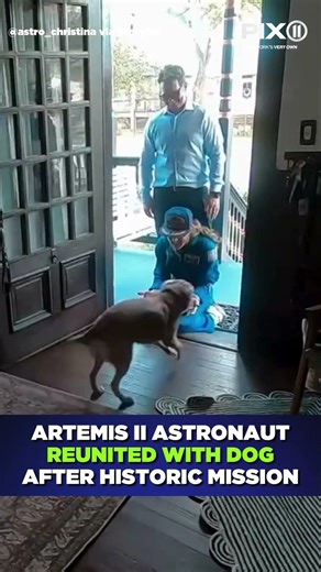 Astronaut’s dog explodes with joy after owner returns from Artemis II mission