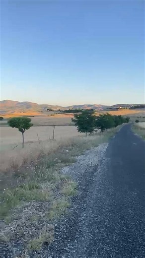 Ali Kaya Sari Turnam on Reels
