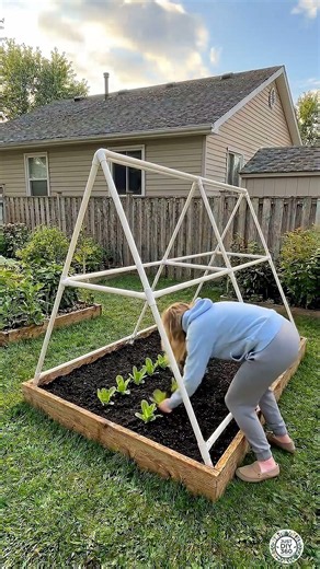 Simple DIY Organic Cucumber and Romaine Lettuce Planter Setup | Backyard Gardening Idea