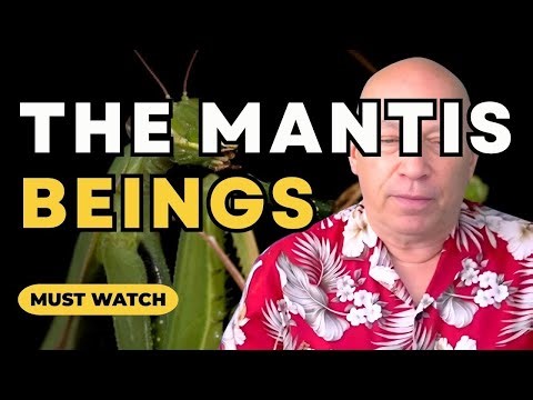 Bashar Twin Flame -- The "Mantis" Beings, The Grays (Channeled by Darryl Anka)