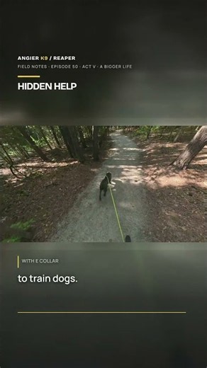 He needs to make choices. We give him a choice point. | Reaper - Part 49 | Angier K9