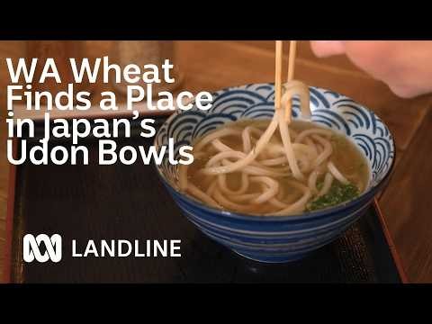 How WA Wheat Became an Essential Ingredient in Japanese Udon | Landline | ABC News