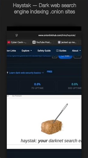 Haystak: Advanced Dark Web Search Engine #CyberCavin #VinodAhirwar
