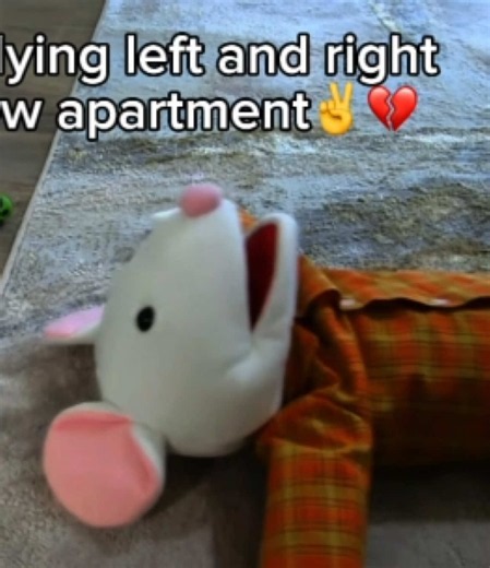 SML the New Apartment – Why It Feels Like a Curse
