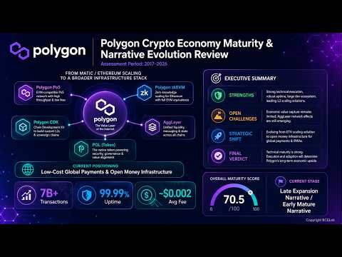 Polygon Project Maturity Assessment Report