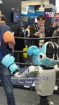 On a essayé le combat de boxe contre un robot, victoire par K.O. !