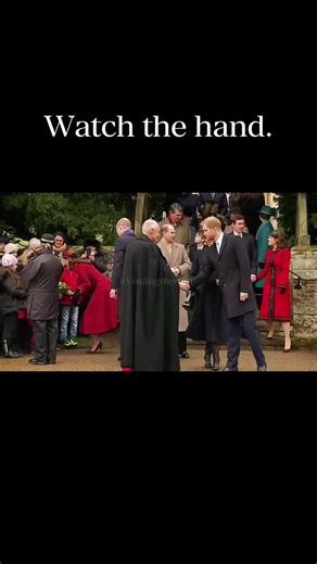 Understanding Body Language: The Art of Human Behavior