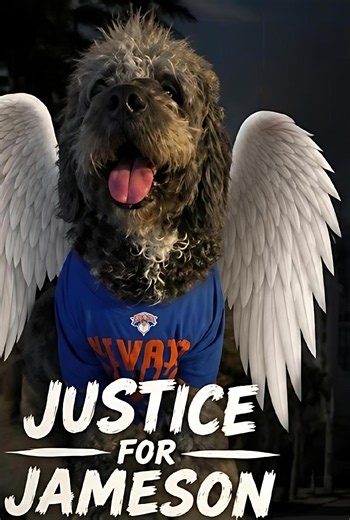 Neighbor says, 'I feel responsible' after LAPD kills dog during welfare check