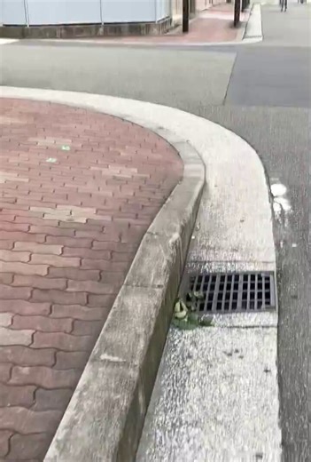 電動ボード取り締まり強化を中央交通安全対策会議が決定した。… 電動キックボードやペダル付き電動バイクなどは近年、事故や違反が目立っている。ペダル付き電動バイクに関しては、電動アシスト自転車と偽って販売する違法業者の摘発も進める。… このほとんどが中国製だ。輸入禁止にするべきだ。