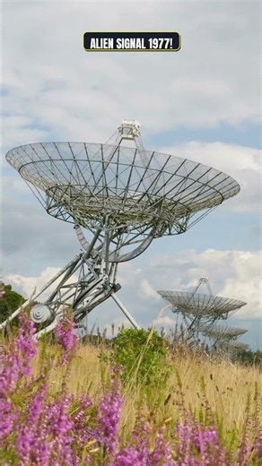 The radio signal from 1977 that science still cannot explain #Shorts