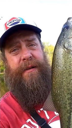 Catching a Largemouth Bass on an Ultralight Combo #fishing #bassfishing #shorts
