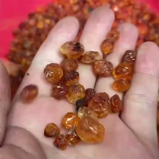 RealTech Q32 Peach Gum Sorting #colorsorter #machine