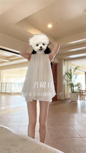 港区で飲み歩いている美容外科医に手術をしてもらいたくないという論争が結構あると思うけど、一切港区で飲み歩いてない美容外科医より港区の一流で綺麗な女性に触れている美容外科医の方が、美の基準やトレンドを分かっている気がする。美の基準やトレンドを押さえているのは、韓国アイドルの練習生お抱えの先生が一番だと思うけどね。もちろん二日酔いで手術する美容外科医はクズだと思う。