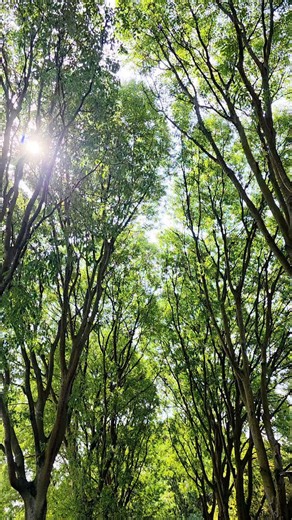 Nature taking its course 🫎 https://t.co/Gedr1MmmWF