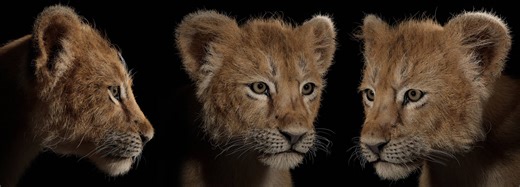 3D Modeling,Texturing, Rendering, Rigging, Animation, Game Development | Can you use procedural modeling from blender in unity, if so how do you prep it to be imported to unity | Facebook