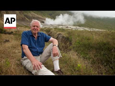 Newly discovered parasitic wasp is named after David Attenborough ahead of his 100th birthday