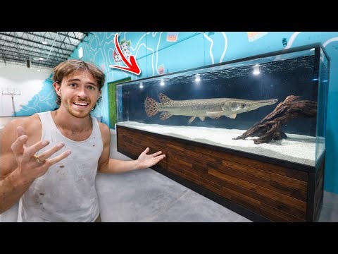 My New Pet RIVER MONSTER For The 2,000gal Tank!? 