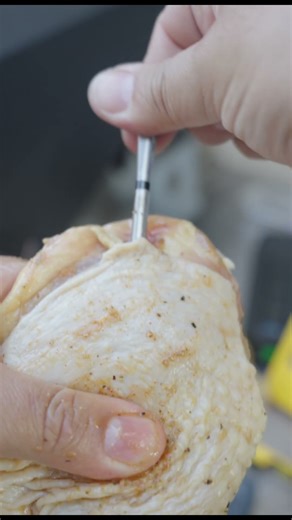 Best Wireless Meat Thermometers of 2025! 🔥🍖