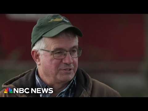 Farmers weigh economic struggles ahead of midterms: ‘Rural people don’t want to be ignored’