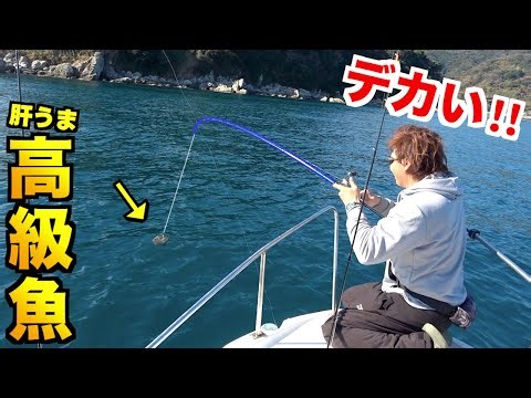 釣りよかが愛するあの魚を釣りに大分まで来てみたら・・・！？