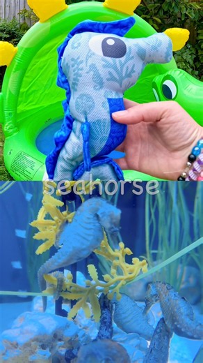Sea Animal Names | Kids Learn at the Dino Pool: Seahorse Clownfish Starfish Pufferfish Oyster