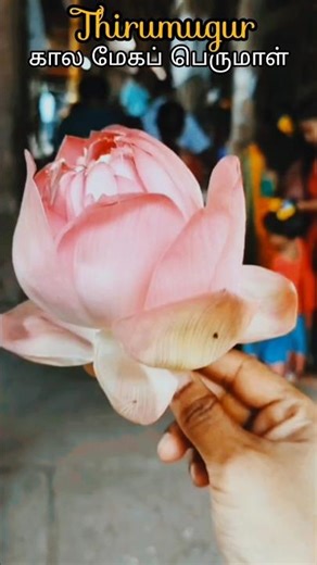 Thirumugur kalamega perumal temple📍madurai#travelvlog #trending#divotionalvlog#trendingsongs #viral