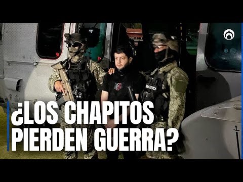 Chapitos pierden fuerza en Sinaloa: 80% de sus caudillos han caído