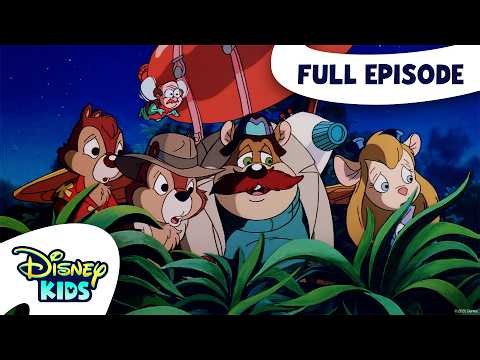 A Fly in the Ointment | Chip 'n Dale's Rescue Rangers S1 E63 | Full Episode | @disneykids
