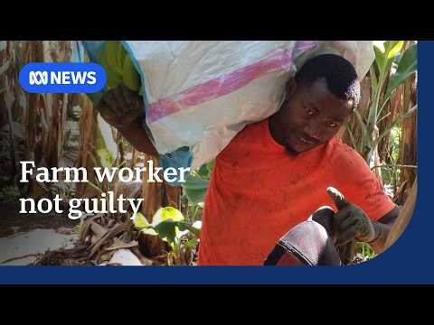 Farm worker found not guilty of murder in circular saw amputation trial | ABC NEWS