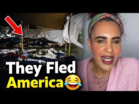 Americans Seeking Asylum in Netherlands Get a SHOCKING Surprise!