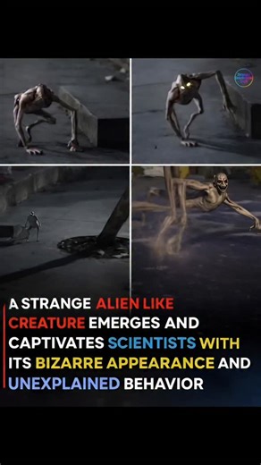A STRANGE ALIEN-LIKE CREATURE SHOCKS THE INTERNET 👽 📌 A mysterious alien-like creature has surfaced in viral footage, leaving viewers across the United States stunned. With its unnatural movements, glowing eyes, and skeletal structure, this bizarre being doesn’t resemble anything scientists have officially documented. Experts are divided — some believe it could be an undiscovered species, others suggest advanced CGI or AI-generated visuals. But one thing is certain: the creature’s unexplained 