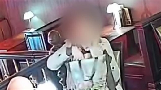 Light-fingered woman caught stealing table lamp from bar and stuffing in handbag