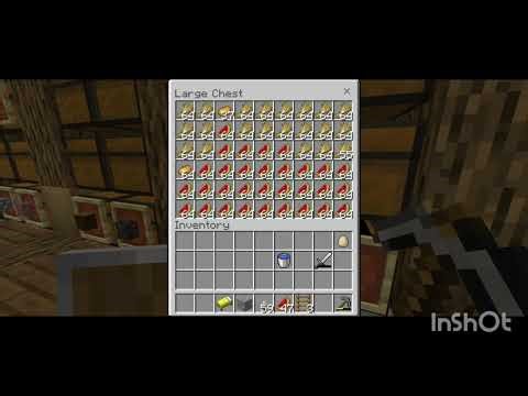 Minecraft survival series episode 11