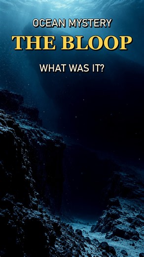 The Bloop Sound That Stumped Scientists for Years