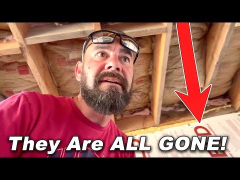 Major LOSS At Tannerites Ranch!